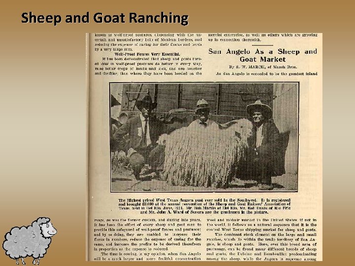 Sheep and Goat Ranching 