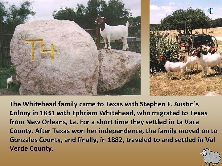 The Whitehead family came to Texas with Stephen F. Austin's Colony in 1831 with