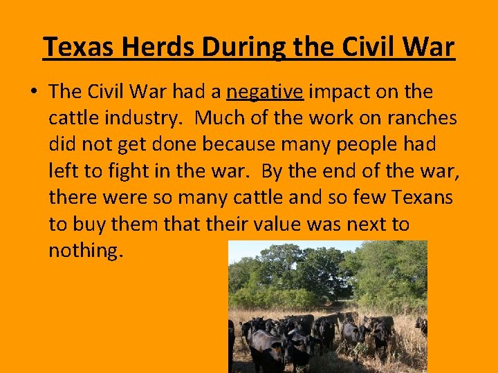 Texas Herds During the Civil War • The Civil War had a negative impact