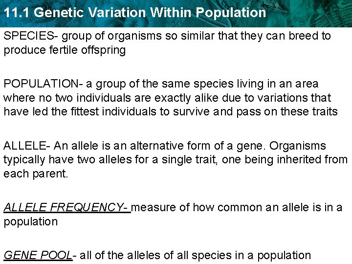 11. 1 Genetic Variation Within Population SPECIES- group of organisms so similar that they