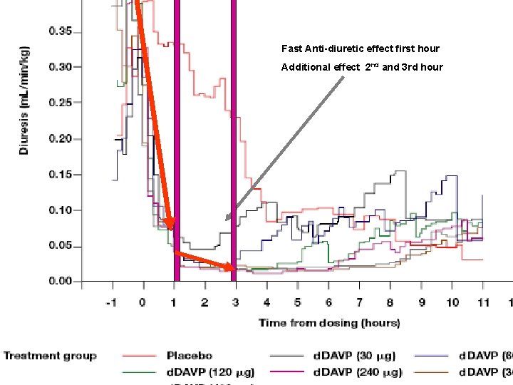 Fast Anti-diuretic effect first hour effet anti-diuretique maximale Additional rapide effect 2 nd and Fast Anti-diuretic effect first hour effet anti-diuretique maximale Additional rapide effect 2 nd and