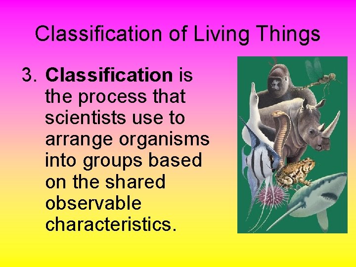 Classification of Living Things 3. Classification is the process that scientists use to arrange