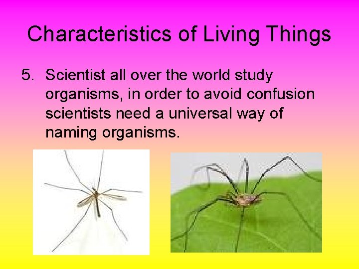 Characteristics of Living Things 5. Scientist all over the world study organisms, in order