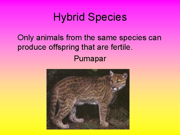 Hybrid Species Only animals from the same species can produce offspring that are fertile.