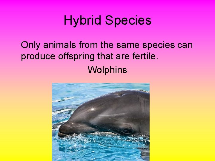 Hybrid Species Only animals from the same species can produce offspring that are fertile.