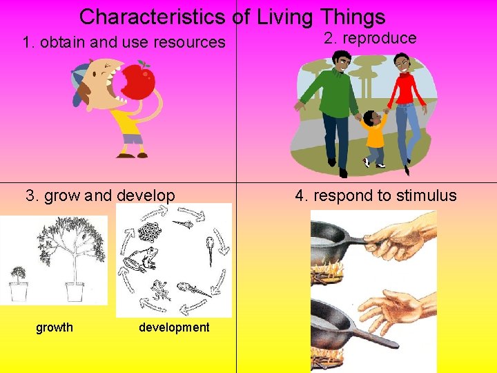 Characteristics of Living Things 1. obtain and use resources 3. grow and develop growth