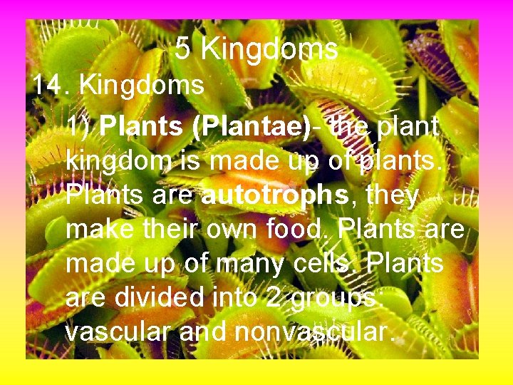 5 Kingdoms 14. Kingdoms 1) Plants (Plantae)- the plant kingdom is made up of