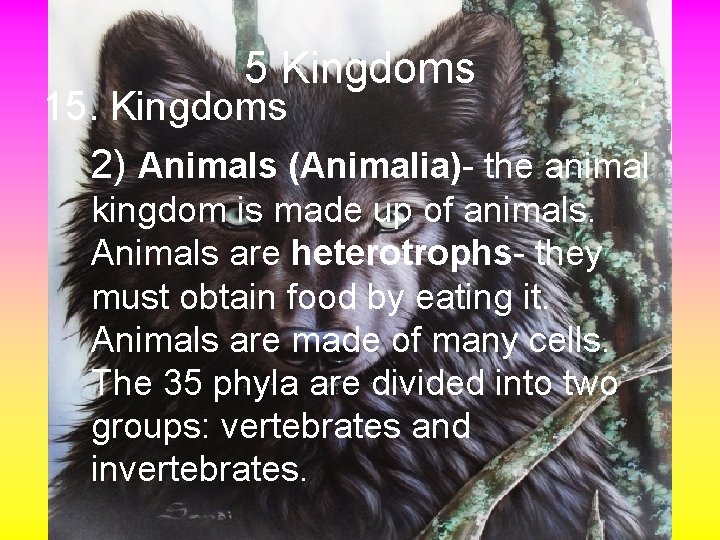 5 Kingdoms 15. Kingdoms 2) Animals (Animalia)- the animal kingdom is made up of