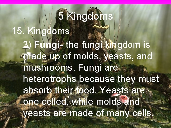 5 Kingdoms 15. Kingdoms 3) Fungi- the fungi kingdom is made up of molds,