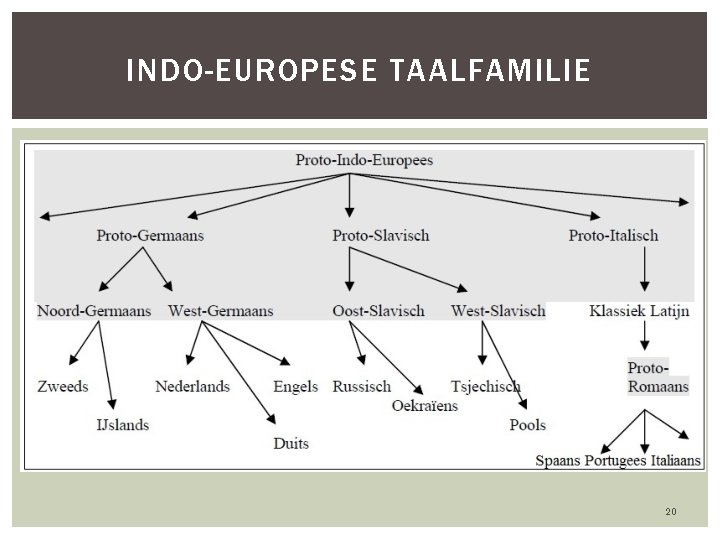 INDO-EUROPESE TAALFAMILIE 20 