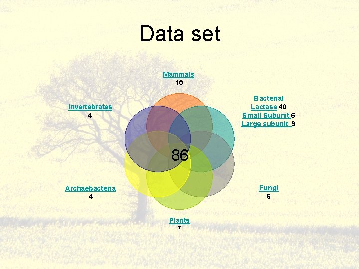 Data set Mammals 10 Bacterial Lactase 40 Small Subunit 6 Large subunit 9 Invertebrates