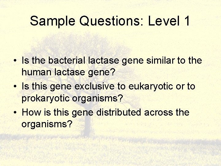 Sample Questions: Level 1 • Is the bacterial lactase gene similar to the human