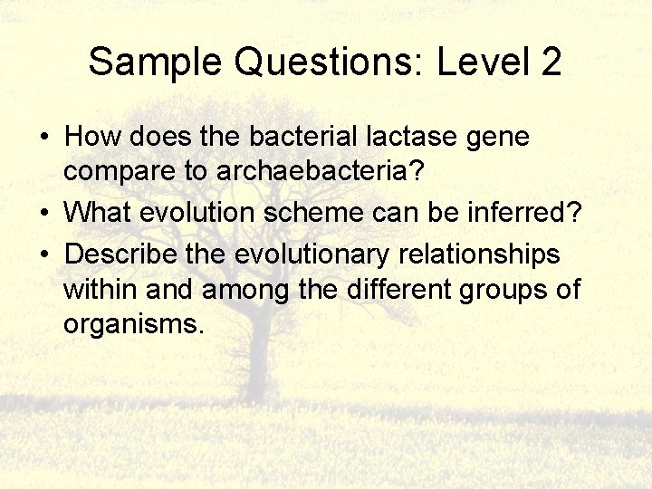 Sample Questions: Level 2 • How does the bacterial lactase gene compare to archaebacteria?