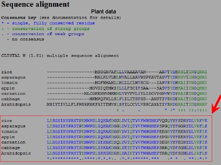 Plant data 