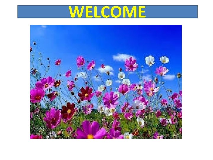 WELCOME 