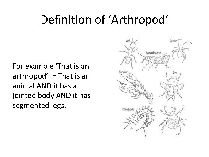 Definition of ‘Arthropod’ For example ‘That is an arthropod’ : = That is an