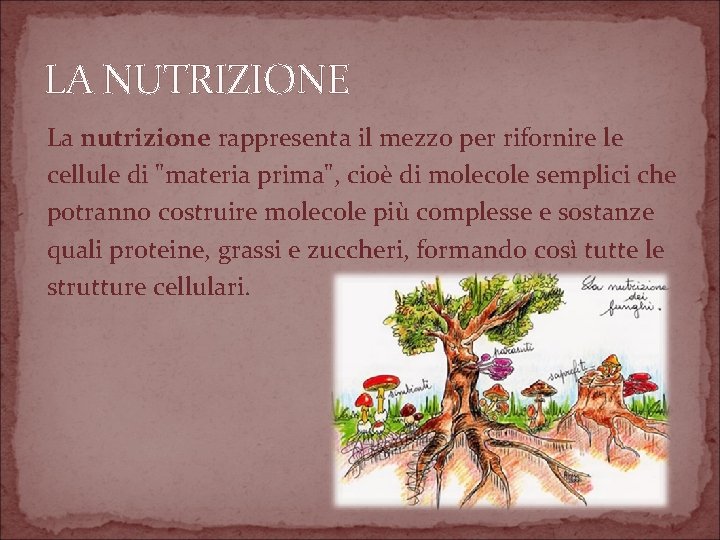 LA NUTRIZIONE La nutrizione rappresenta il mezzo per rifornire le cellule di "materia prima",