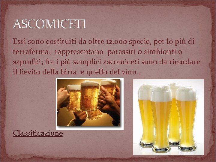 ASCOMICETI Essi sono costituiti da oltre 12. 000 specie, per lo più di terraferma;