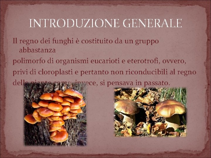 INTRODUZIONE GENERALE Il regno dei funghi è costituito da un gruppo abbastanza polimorfo di