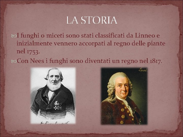 LA STORIA I funghi o miceti sono stati classificati da Linneo e inizialmente vennero