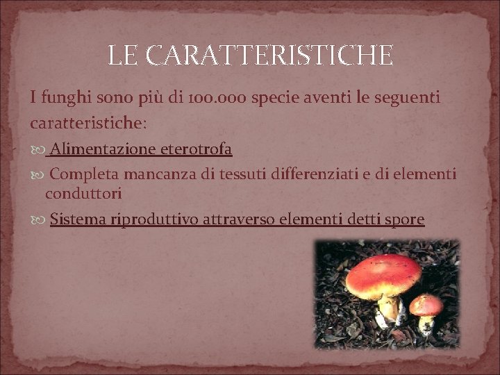 LE CARATTERISTICHE I funghi sono più di 100. 000 specie aventi le seguenti caratteristiche: