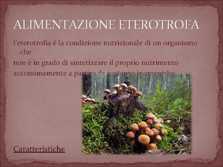 ALIMENTAZIONE ETEROTROFA l’eterotrofia è la condizione nutrizionale di un organismo che non è in