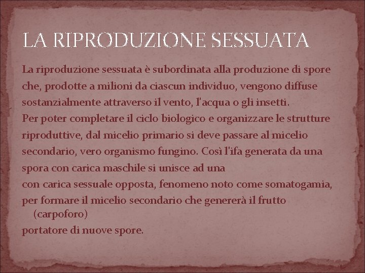 LA RIPRODUZIONE SESSUATA La riproduzione sessuata è subordinata alla produzione di spore che, prodotte