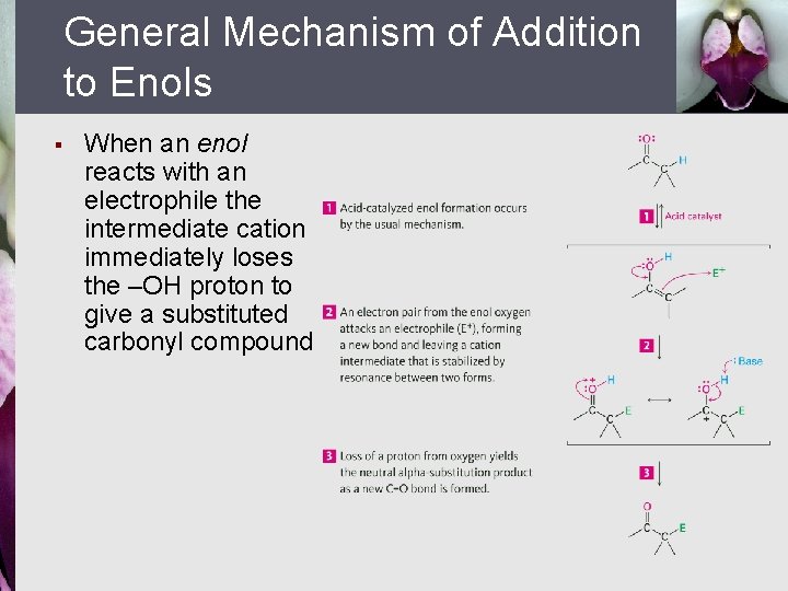 General Mechanism of Addition to Enols § When an enol reacts with an electrophile