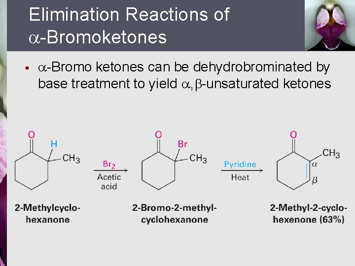 Elimination Reactions of -Bromoketones § -Bromo ketones can be dehydrobrominated by base treatment to