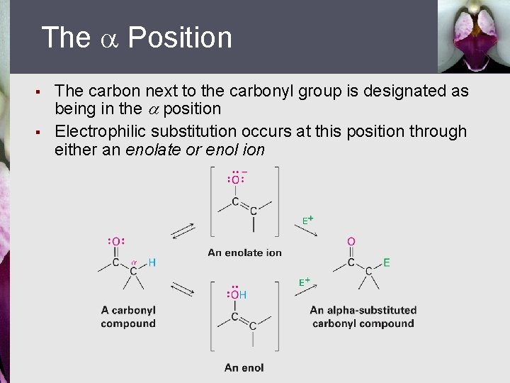 The Position § § The carbon next to the carbonyl group is designated as