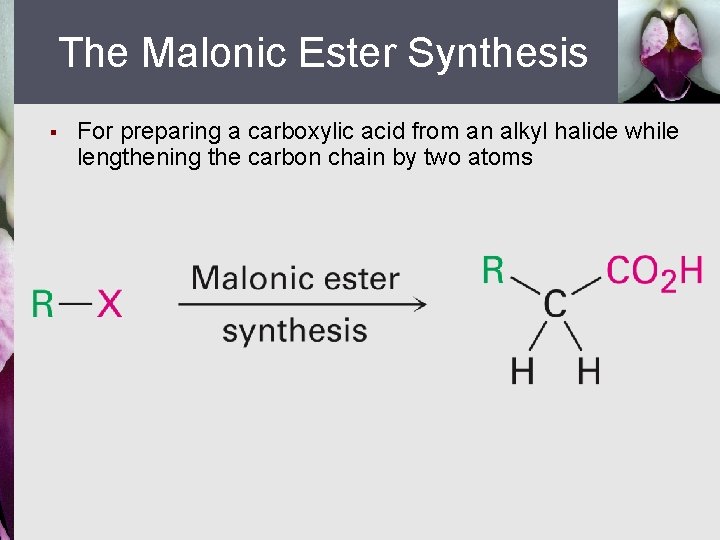 The Malonic Ester Synthesis § For preparing a carboxylic acid from an alkyl halide
