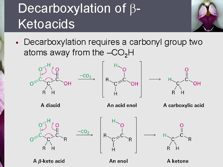 Decarboxylation of Ketoacids § Decarboxylation requires a carbonyl group two atoms away from the