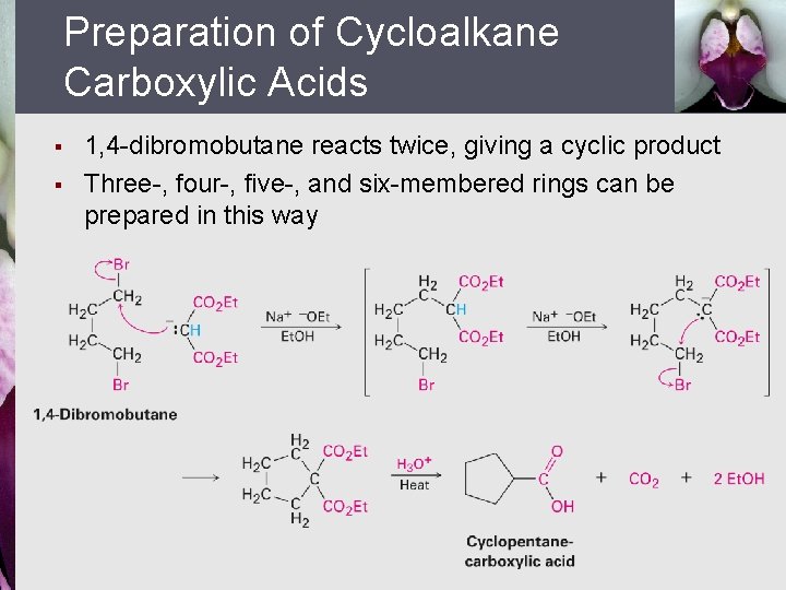 Preparation of Cycloalkane Carboxylic Acids § § 1, 4 -dibromobutane reacts twice, giving a