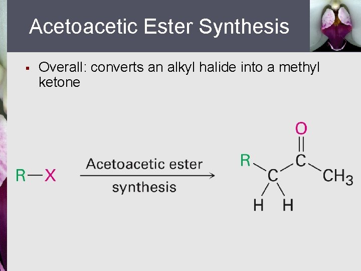 Acetoacetic Ester Synthesis § Overall: converts an alkyl halide into a methyl ketone 