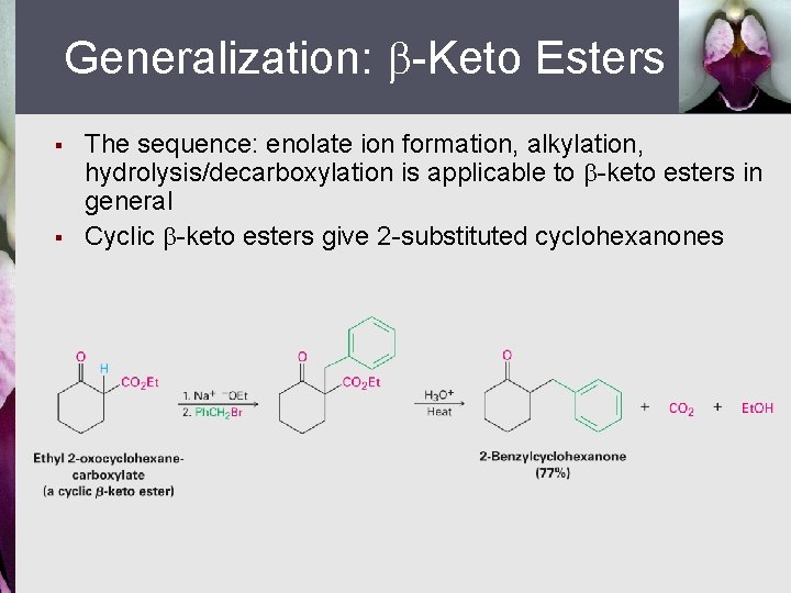 Generalization: -Keto Esters § § The sequence: enolate ion formation, alkylation, hydrolysis/decarboxylation is applicable