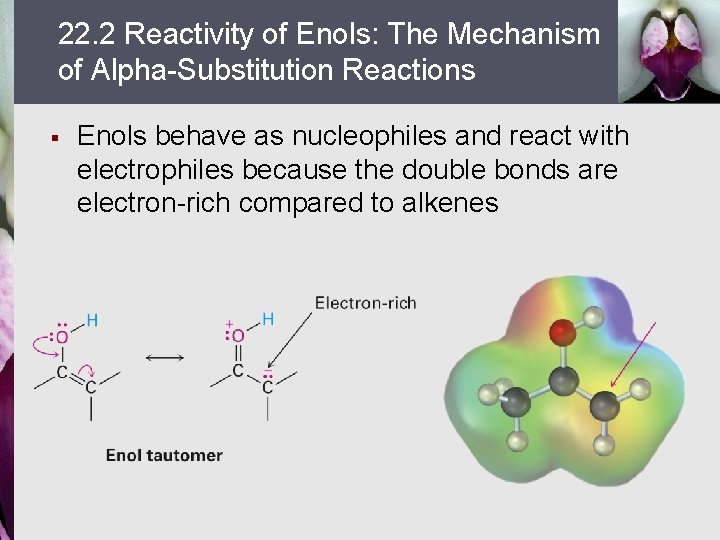 22. 2 Reactivity of Enols: The Mechanism of Alpha-Substitution Reactions § Enols behave as