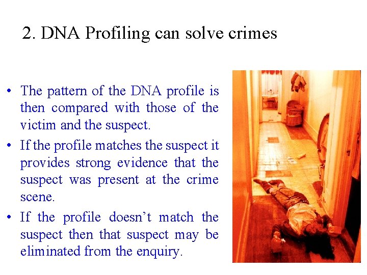 2. DNA Profiling can solve crimes • The pattern of the DNA profile is