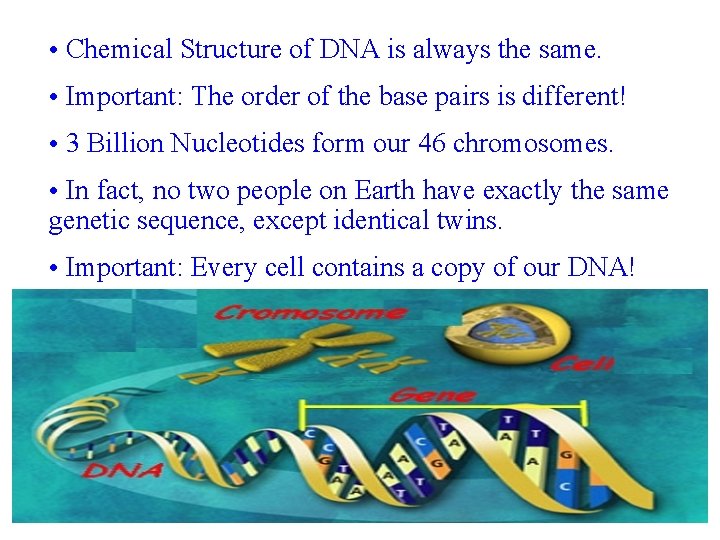  • Chemical Structure of DNA is always the same. • Important: The order