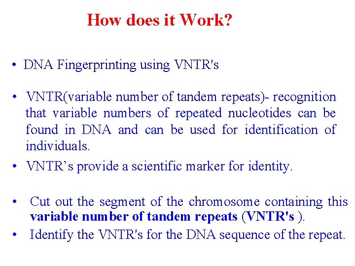 How does it Work? • DNA Fingerprinting using VNTR's • VNTR(variable number of tandem