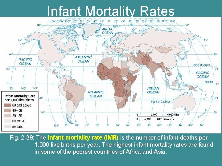 Infant Mortality Rates Fig. 2 -39: The infant mortality rate (IMR) is the number