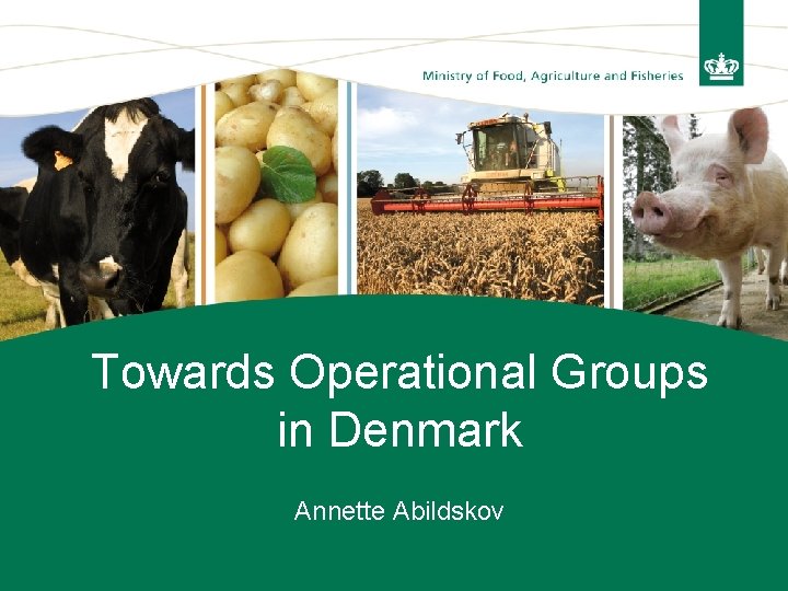 Towards Operational Groups in Denmark Annette Abildskov 