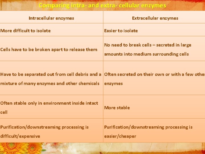 Comparing intra- and extra- cellular enzymes Intracellular enzymes More difficult to isolate Cells have