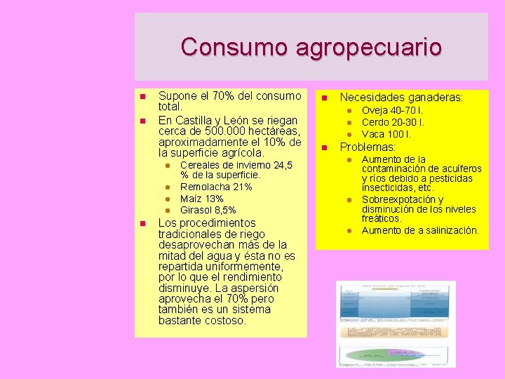 Consumo agropecuario Supone el 70% del consumo total. En Castilla y León se riegan