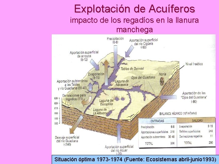 Explotación de Acuíferos impacto de los regadíos en la llanura manchega Situación óptima 1973