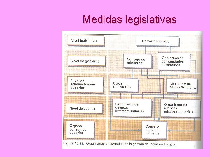 Medidas legislativas 