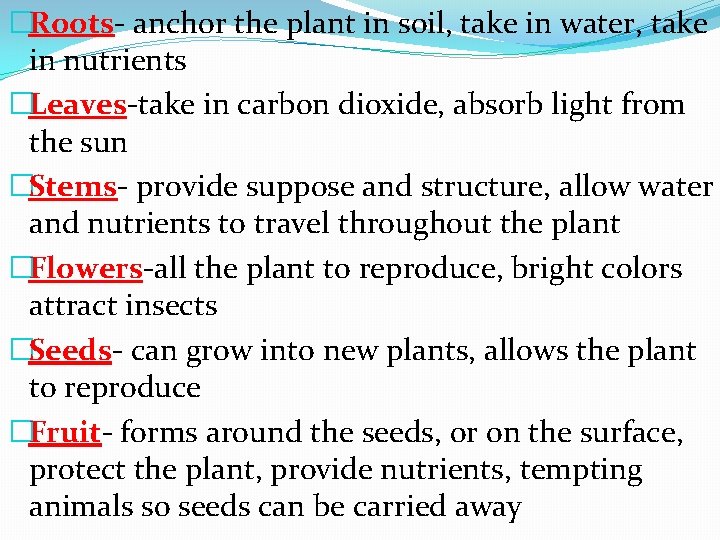 �Roots- anchor the plant in soil, take in water, take in nutrients �Leaves-take in