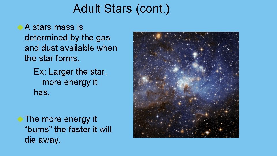 Adult Stars (cont. ) A stars mass is determined by the gas and dust
