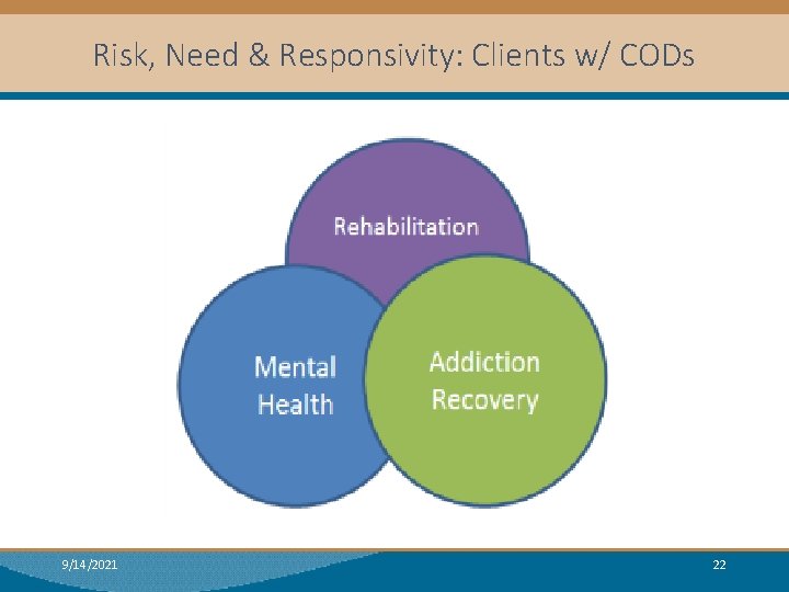 Risk, Need & Responsivity: Clients w/ CODs 9/14/2021 22 