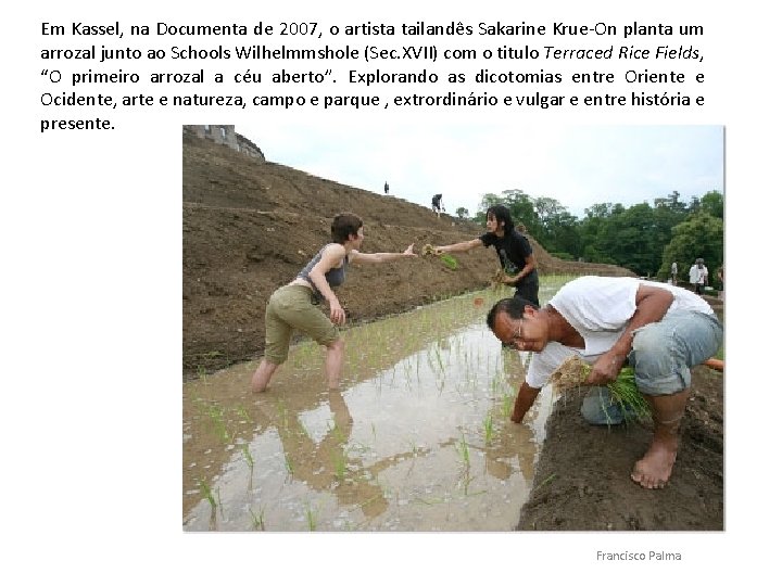 Em Kassel, na Documenta de 2007, o artista tailandês Sakarine Krue-On planta um arrozal