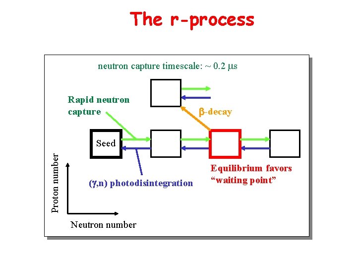 The r-process neutron capture timescale: ~ 0. 2 ms Rapid neutron capture b-decay Proton